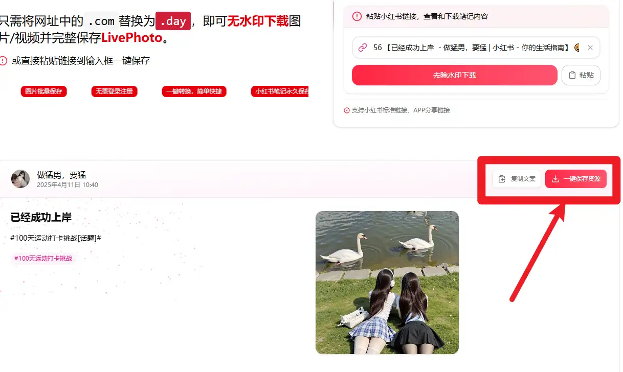 小红书无水印解析下载神器，30秒保存笔记原图视频