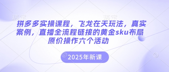 拼多多实操课程，飞龙在天玩法，真实案例，直播全流程链接的黄金sku布局原价操作六个活动-青年云网创—高质量项目商城