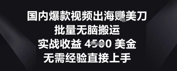 国内爆款视频出海挣美刀，批量无脑搬运，实战收益4.5k，无需经验直接上手-青年云网创—高质量项目商城