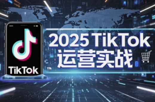 2025TikTok电商运营，掌握TikTok店铺运营核心技巧，实现低成本高转化-青年云网创—高质量项目商城