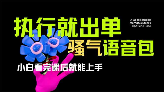 （14170期）爆火全网的开车导航骚气语音包,只要执行就出单，小白看完课程就能实操...-青年云网创—高质量项目商城