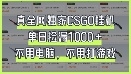 真全网独家CSGO挂G，单日捡漏1k+【揭秘】-青年云网创—高质量项目商城